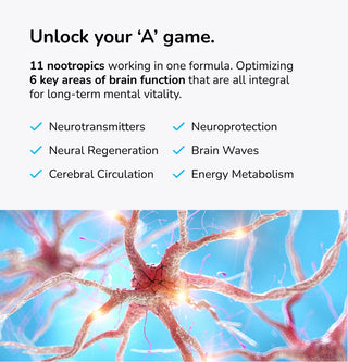 Mind Lab Pro® gallery image 3