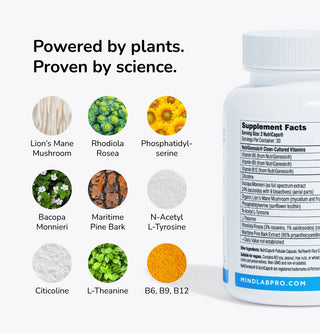 Mind Lab Pro® gallery image 6