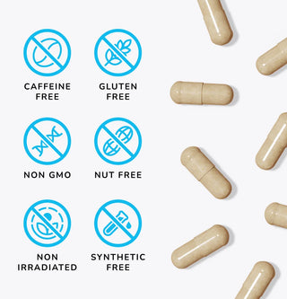 Mind Lab Pro® gallery image 9