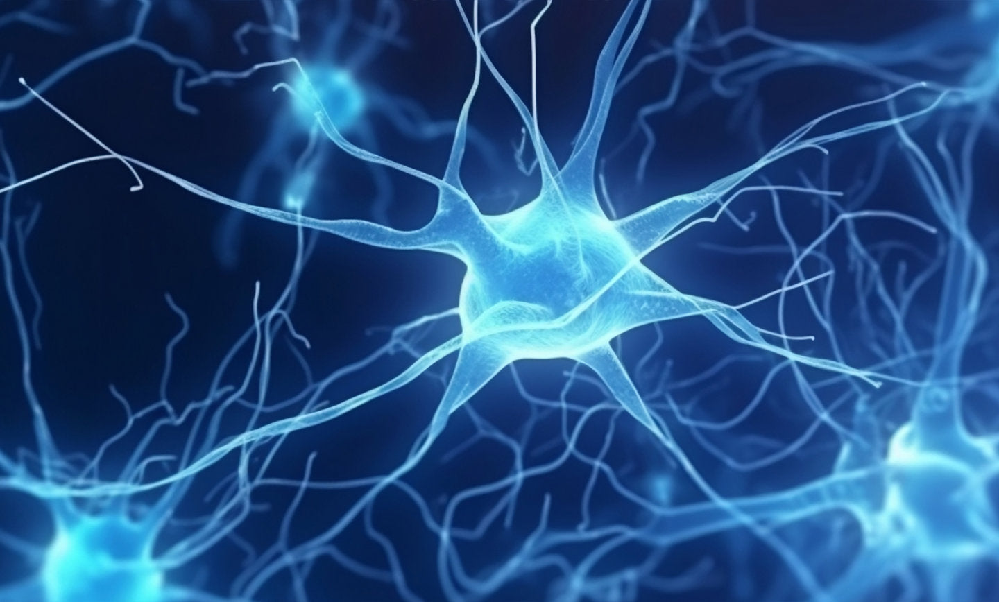 image of brain neurons firing